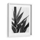 Bandw Bamboo V - Renee W. Stramel | Cuadro decorativo de Canvas Lab