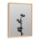 Liriope I - Renee W. Stramel | Cuadro decorativo de Canvas Lab