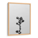 Liriope Ii - Renee W. Stramel | Cuadro decorativo de Canvas Lab