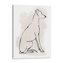 Boceto De Galgo I - Grace Popp | Cuadro decorativo de Canvas Lab