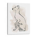 Sketch Ii Greyhound - Grace Popp | Cuadro decorativo de Canvas Lab