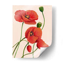 Amapolas De Coral Blando I - Grace Popp | Cuadro decorativo de Canvas Lab