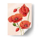 Poppies De Coral Blando Ii - Grace Popp | Cuadro decorativo de Canvas Lab