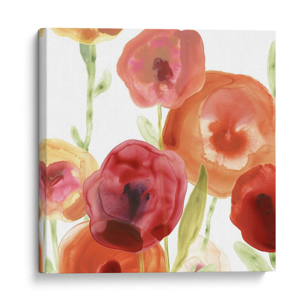 Papido De Amapola I - June Erica Vess | Cuadro decorativo de Canvas Lab