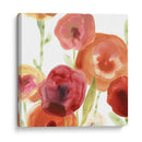 Papido De Amapola I - June Erica Vess | Cuadro decorativo de Canvas Lab