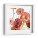 Papido De Amapola I - June Erica Vess | Cuadro decorativo de Canvas Lab