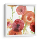 Papido De Amapola I - June Erica Vess | Cuadro decorativo de Canvas Lab