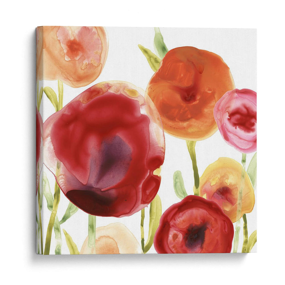 Papido De Amapola Iii - June Erica Vess | Cuadro decorativo de Canvas Lab