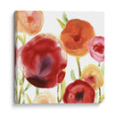 Papido De Amapola Iii - June Erica Vess | Cuadro decorativo de Canvas Lab