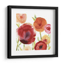 Papido De Amapola Iii - June Erica Vess | Cuadro decorativo de Canvas Lab