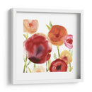 Papido De Amapola Iii - June Erica Vess | Cuadro decorativo de Canvas Lab