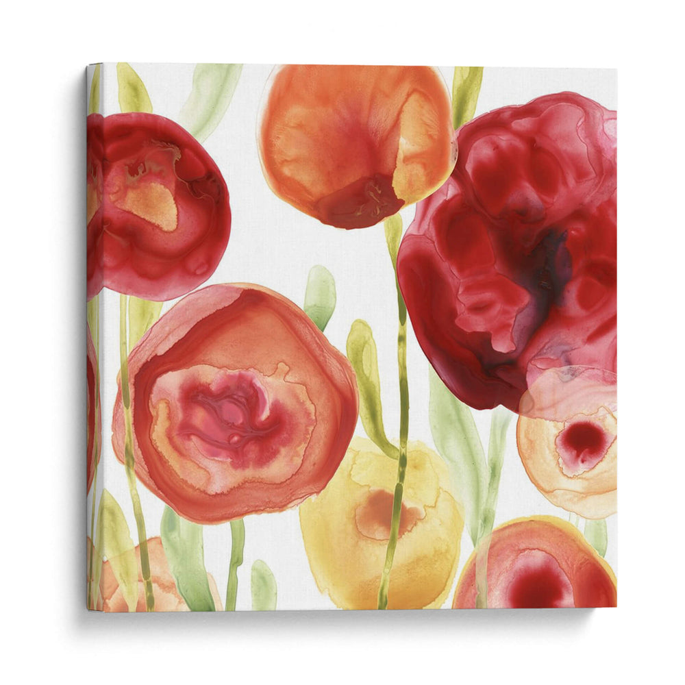 Papido De Amapola Iv - June Erica Vess | Cuadro decorativo de Canvas Lab