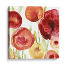 Papido De Amapola Iv - June Erica Vess | Cuadro decorativo de Canvas Lab