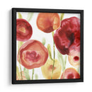 Papido De Amapola Iv - June Erica Vess | Cuadro decorativo de Canvas Lab