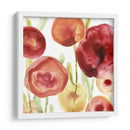 Papido De Amapola Iv - June Erica Vess | Cuadro decorativo de Canvas Lab