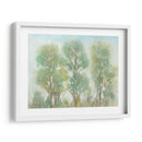 Árboles Silenciados I - Tim OToole | Cuadro decorativo de Canvas Lab