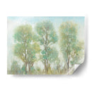 Árboles Silenciados I - Tim OToole | Cuadro decorativo de Canvas Lab