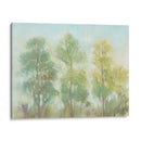 Árboles Silenciados Ii - Tim OToole | Cuadro decorativo de Canvas Lab