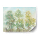 Árboles Silenciados Ii - Tim OToole | Cuadro decorativo de Canvas Lab