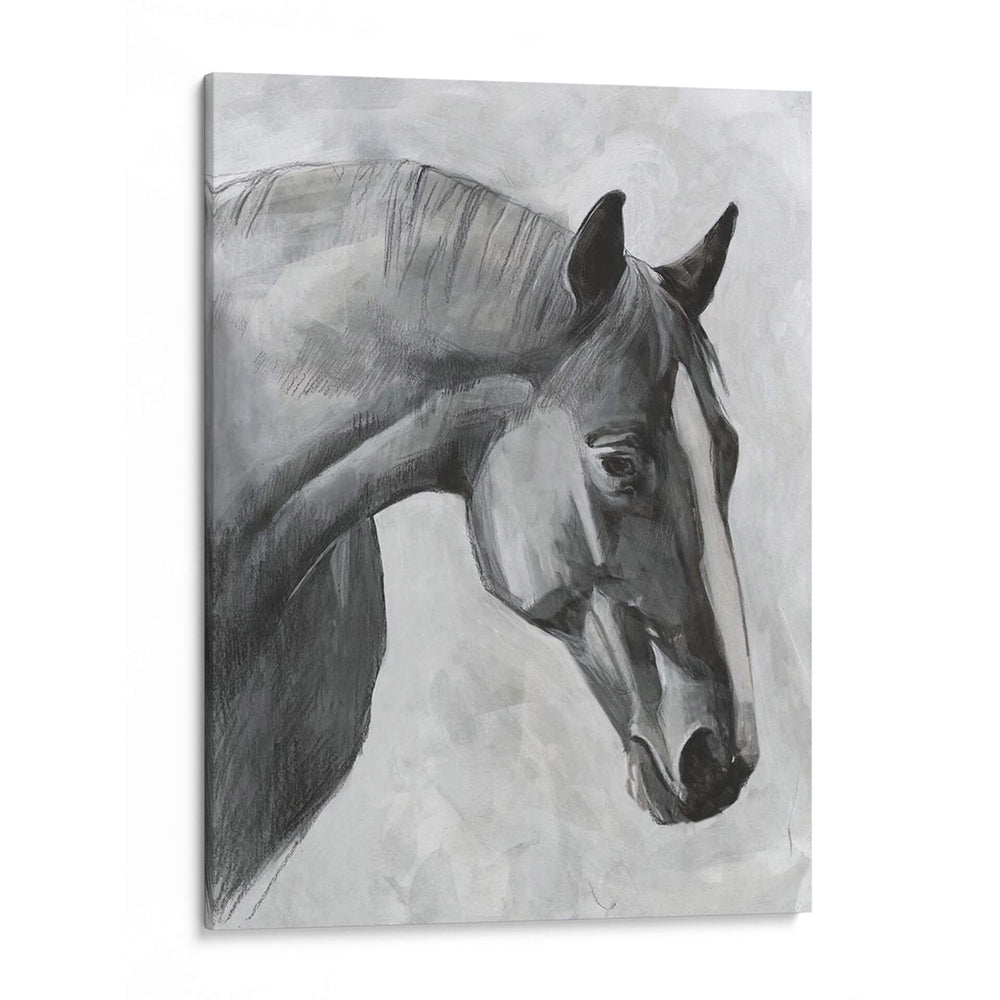 Cavallo I - Emma Scarvey | Cuadro decorativo de Canvas Lab