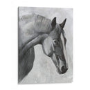 Cavallo I - Emma Scarvey | Cuadro decorativo de Canvas Lab