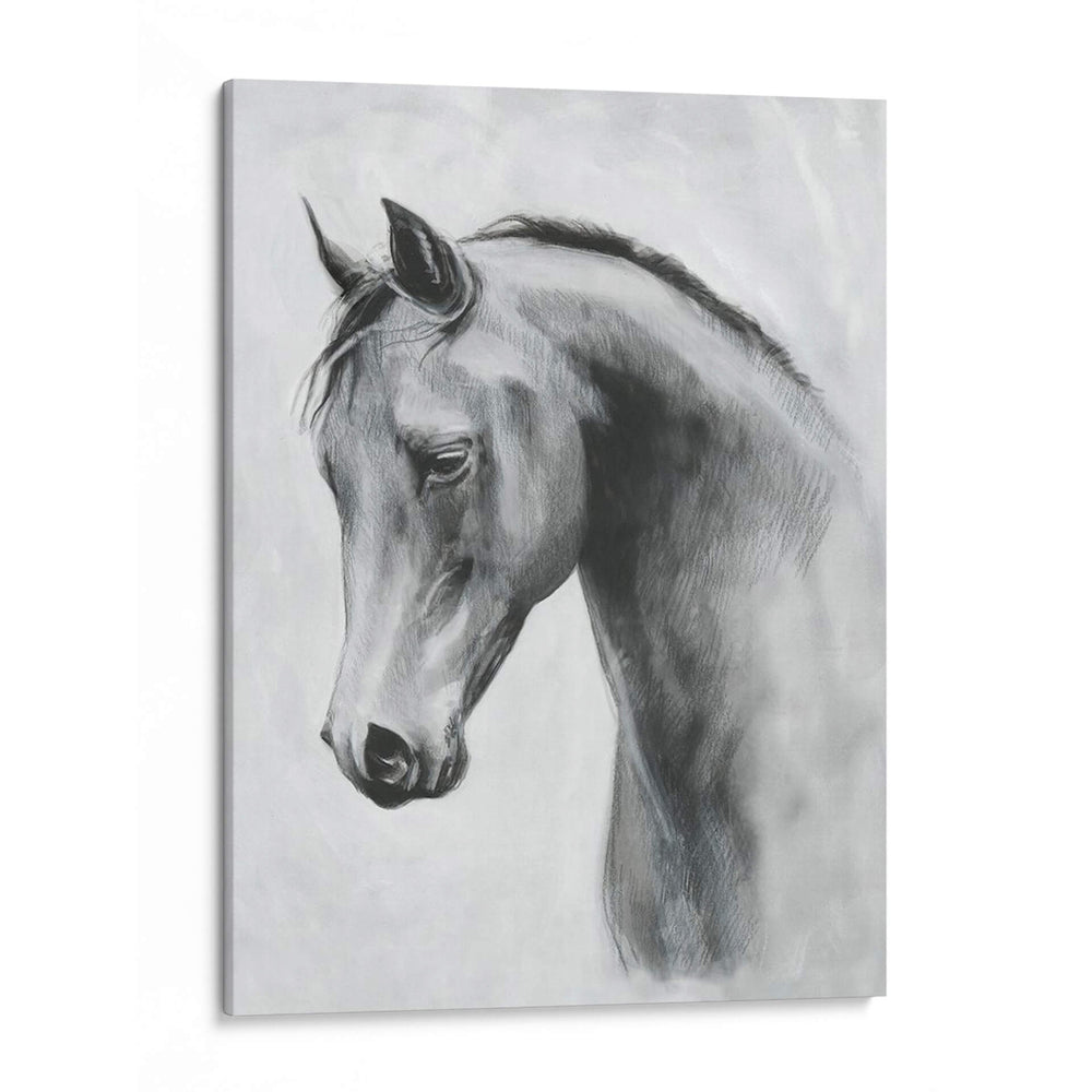 Cavallo Ii - Emma Scarvey | Cuadro decorativo de Canvas Lab