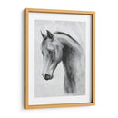 Cavallo Ii - Emma Scarvey | Cuadro decorativo de Canvas Lab