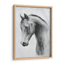 Cavallo Ii - Emma Scarvey | Cuadro decorativo de Canvas Lab
