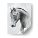 Cavallo Ii - Emma Scarvey | Cuadro decorativo de Canvas Lab