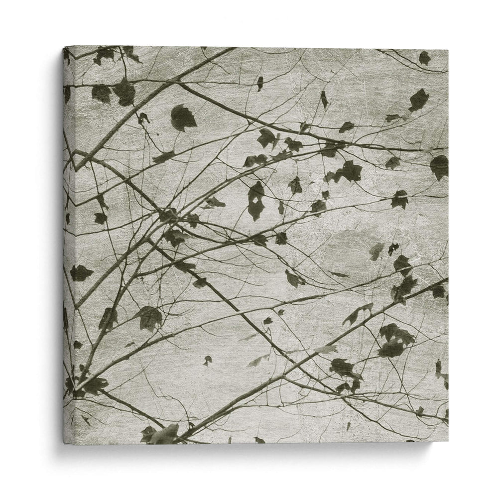 Cielo Atado I - Sharon Chandler | Cuadro decorativo de Canvas Lab