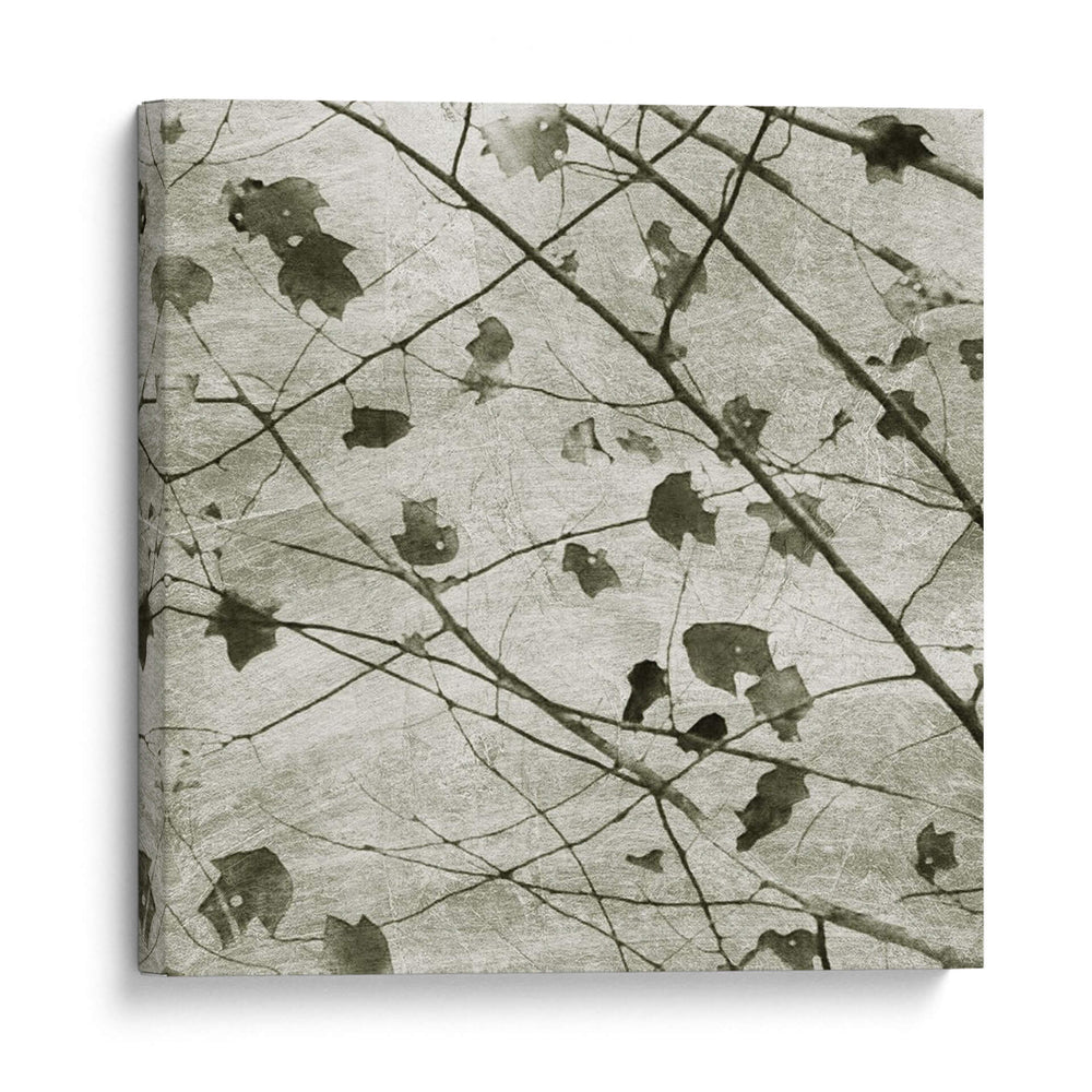 Sky Ii - Sharon Chandler | Cuadro decorativo de Canvas Lab