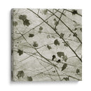 Sky Ii - Sharon Chandler | Cuadro decorativo de Canvas Lab