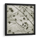 Sky Ii - Sharon Chandler | Cuadro decorativo de Canvas Lab