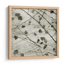 Sky Ii - Sharon Chandler | Cuadro decorativo de Canvas Lab