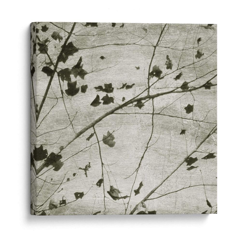Sky Iii - Sharon Chandler | Cuadro decorativo de Canvas Lab