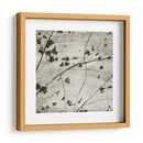 Sky Iii - Sharon Chandler | Cuadro decorativo de Canvas Lab