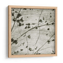 Sky Iii - Sharon Chandler | Cuadro decorativo de Canvas Lab