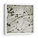 Sky Iii - Sharon Chandler | Cuadro decorativo de Canvas Lab