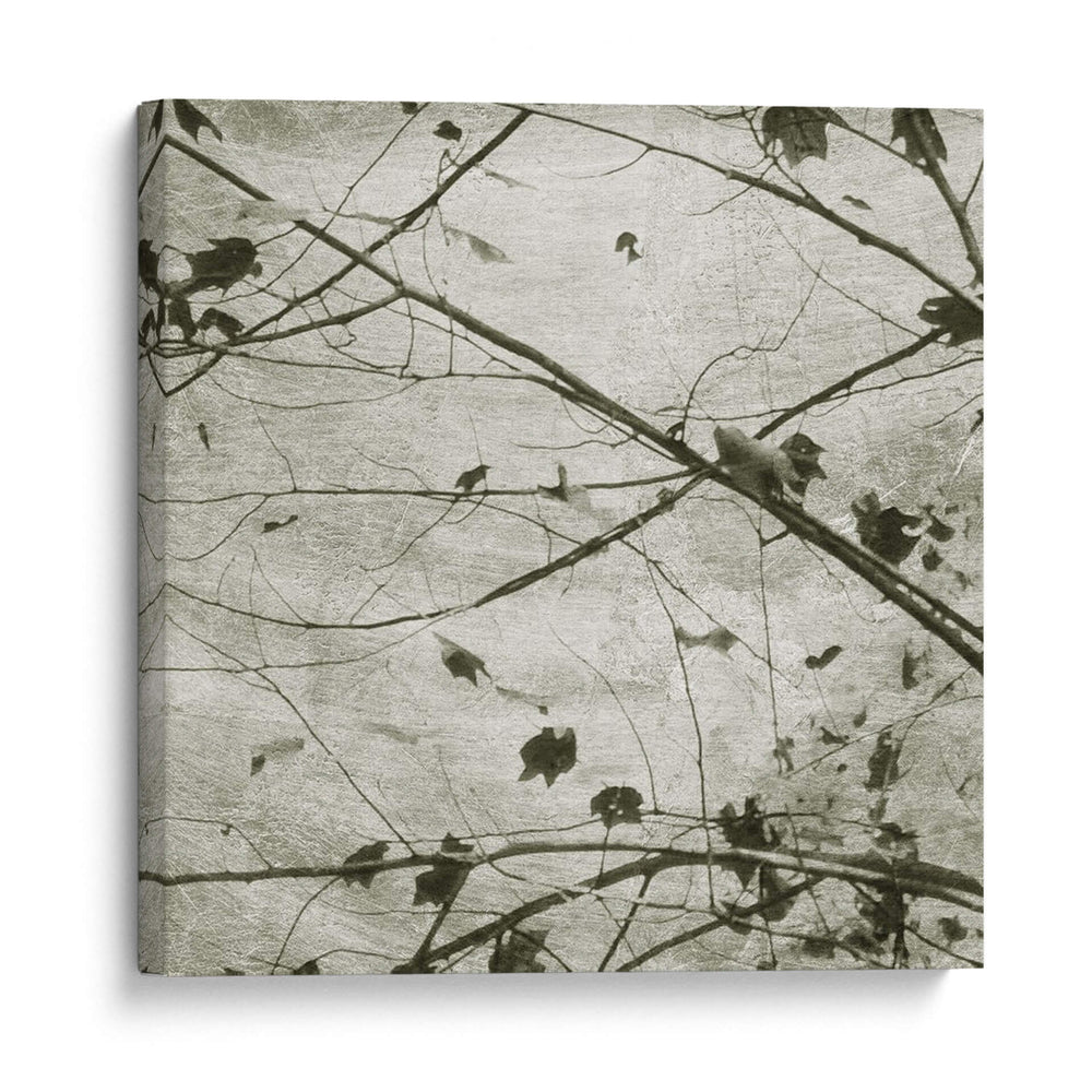 Cielo Atado Iv - Sharon Chandler | Cuadro decorativo de Canvas Lab