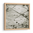 Cielo Atado Iv - Sharon Chandler | Cuadro decorativo de Canvas Lab