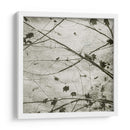 Cielo Atado Iv - Sharon Chandler | Cuadro decorativo de Canvas Lab