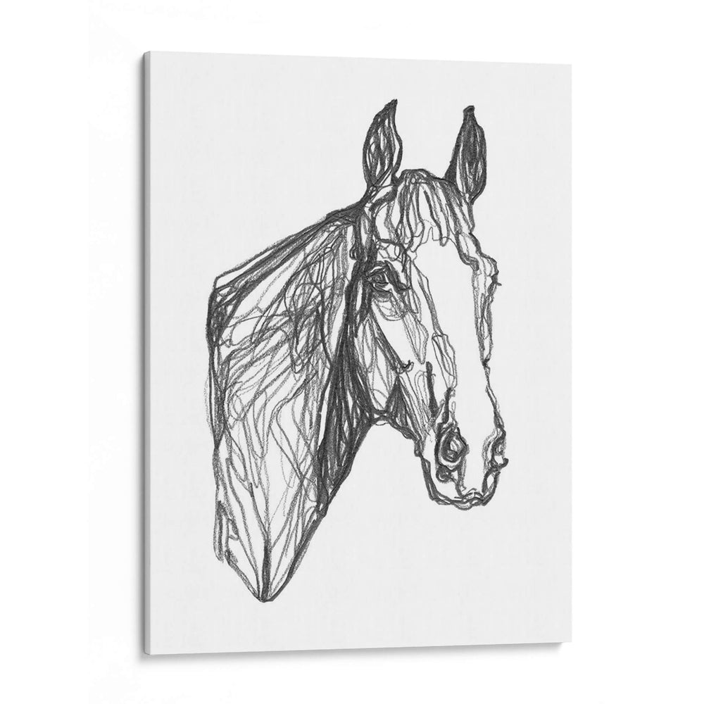 Contorno Equino I - Emma Scarvey | Cuadro decorativo de Canvas Lab