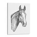 Contorno Equino I - Emma Scarvey | Cuadro decorativo de Canvas Lab