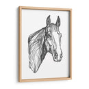 Contorno Equino I - Emma Scarvey | Cuadro decorativo de Canvas Lab