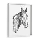 Contorno Equino I - Emma Scarvey | Cuadro decorativo de Canvas Lab