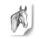 Contorno Equino I - Emma Scarvey | Cuadro decorativo de Canvas Lab