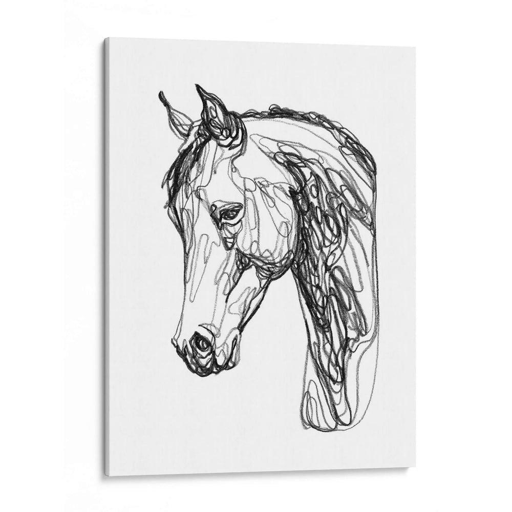 Contorno Equino Ii - Emma Scarvey | Cuadro decorativo de Canvas Lab