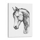 Contorno Equino Ii - Emma Scarvey | Cuadro decorativo de Canvas Lab