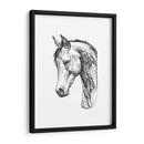 Contorno Equino Ii - Emma Scarvey | Cuadro decorativo de Canvas Lab