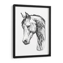 Contorno Equino Ii - Emma Scarvey | Cuadro decorativo de Canvas Lab